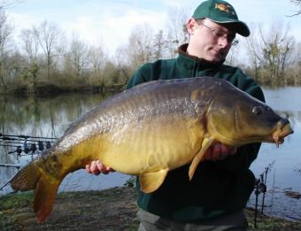 Un beau poisson de souche