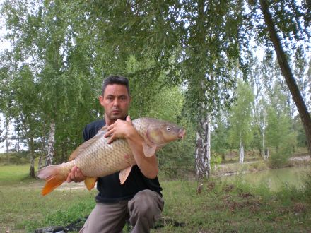 Article sur la pêche de la carpe dans les blogs carpistes - PowerCarp