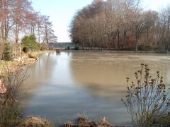 Photo de l'étang du carpodrome à l'esturgeons pour le concours du 06 Avril 2008