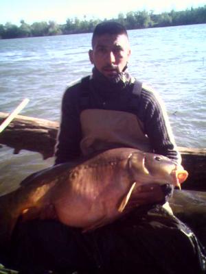 20kilos250 un carpes tres belle