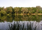 un petit étang de 2 hectares