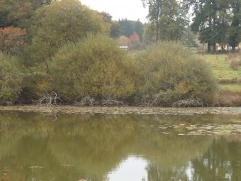 une des queux de l'étanq