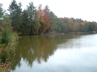 côté gauche