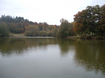 vue des bois une des queux de l'étang