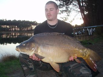 Carpe miroir de 14,5kilos