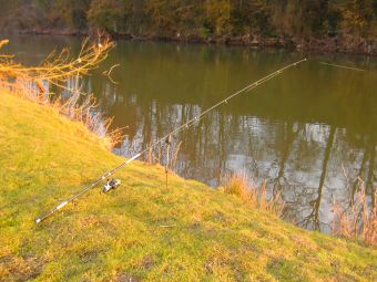 1er jour de pêche en rivière ! 