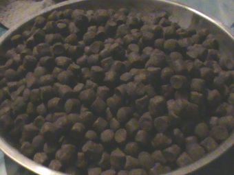 pellet