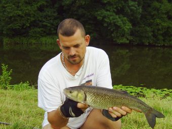 Chevaine gourmand ! 