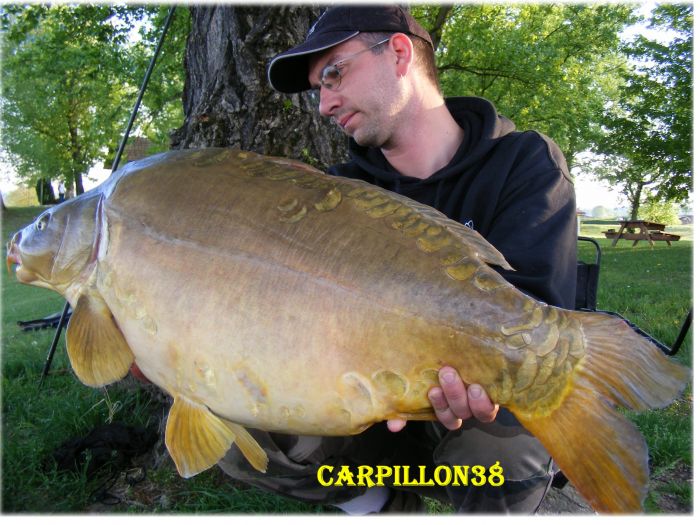 Les derniers articles sur la pêche de la carpe - page 317 - blogs carpes -  PowerCarp