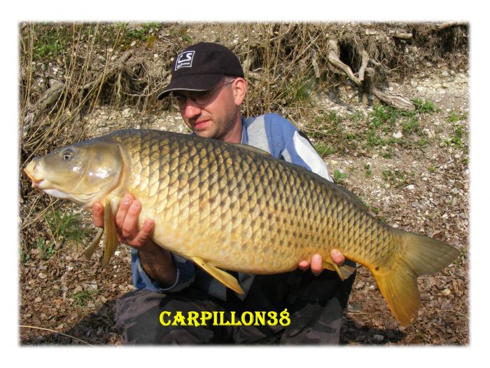 Article sur la pêche de la carpe dans les blogs carpistes - PowerCarp