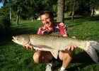 jolie fish 7kg800