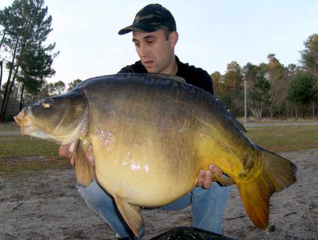 Article sur la pêche de la carpe dans les blogs carpistes - PowerCarp