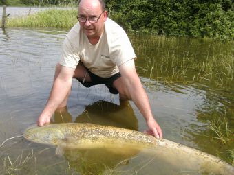 http://www.powercarp.com/blog/0b/bd/pict/BILD0133.JPG