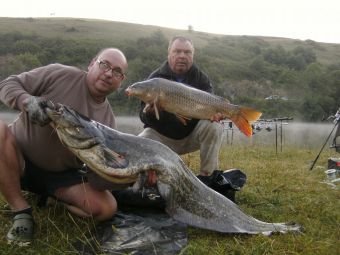 http://www.powercarp.com/blog/0b/bd/pict/BILD0165.JPG