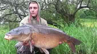 http://www.powercarp.com/blog/0b/bd/pict/photo10.jpg