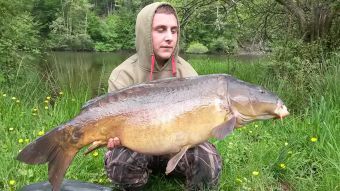 http://www.powercarp.com/blog/0b/bd/pict/photo9.jpg