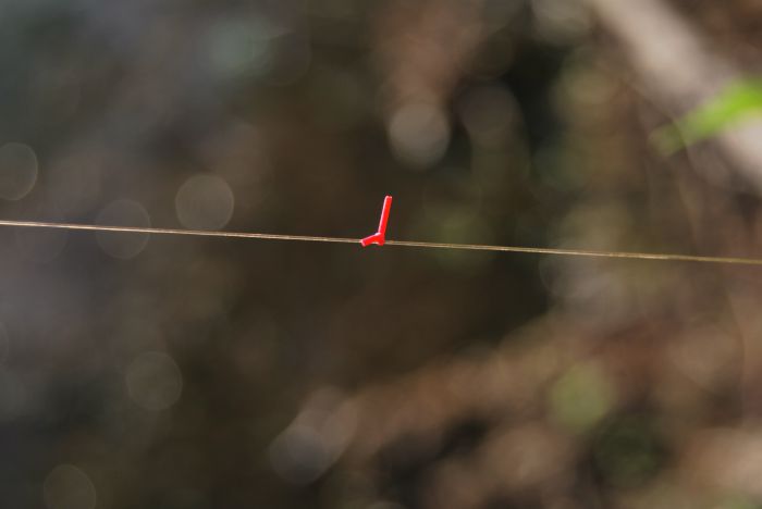 quelques centimètres d'élastique fluo permettent de retrouver facilement les distance de pêche