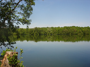 Lac Mary Lou