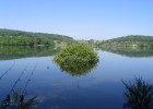 Le lac est bien plein au printemps et les arbustes deviennent de bon repères!