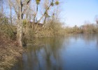 Etang totalement recouvert de glace au lever du jour