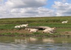 La nature peut parfois être hostile, attention à vos embarcations