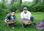 2 belles carpes que jai faite au bahut