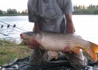 voila le premier poisson il aura fallu attendre une journée