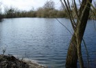 Des berges boisées...de bons spots en face