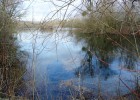 La nature reste maître des lieux