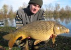 les poissons du pré des noues ont des couleurs magnifiques