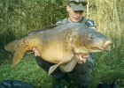 impressionant la beautée des poissons au pré des noues