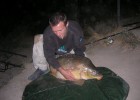 grosse miroir de 16kg prise lors d'une peche de nuit sur le vidourle.