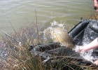 un remise à l'eau bien mérité