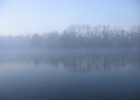 le jour vient de se lever et une brume occupe la surfce de l'étang