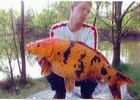 les poissons de xavier les poissons de xavier