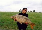 jolie poisson de l'etang de rouge