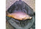 jolie miroir de 15,5 kg au lac de st cécile