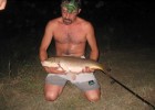 carpes carpes