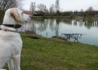 Saison 2011 Saison 2011