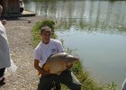CARPES ET ESTURGEONS CARPES ET ESTURGEONS