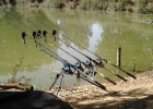 peche a la carpe peche a la carpe
