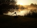 Photo actuelle associée au profil du carpiste arzboul2