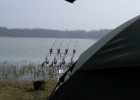 carpes carpes