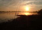 carpes en folie carpes en folie