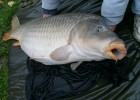 etang de brunemont 2007 etang de brunemont 2007