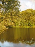Photo actuelle associée au profil du carpiste olive38