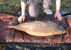 Mon poisson record !! Mon poisson record !!
