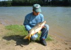 le 1er poisson de pol sur le plan d'eau d'ayron