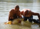 quel solidarité pour remettre la belle a l'eau