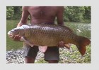 Peche Carpe Peche Carpe